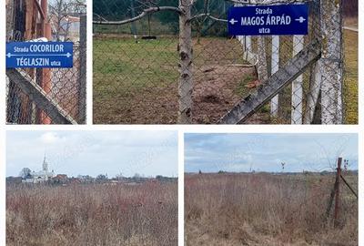 Teren de 6670 mp, în Viile Satu Mare - 2