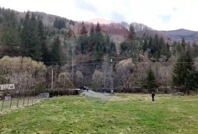 Teren Construcții intravilan de 3880 mp, în Rucăr - 5