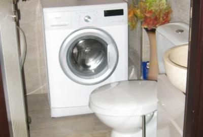 Apartament cu 2 camere decomandat în Turnișor - 8