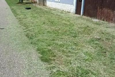 Casă cu 2 camere cu Teren 1200 Mp în Central - 10