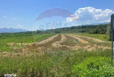 Teren de 14800 mp, în Central - 4