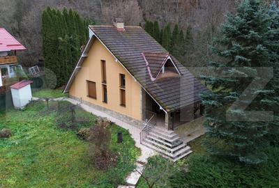 Casă cu 3 camere cu Teren 2500 Mp în Ighiu - 10