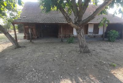 Casă cu 3 camere cu Teren 1300 Mp în Central