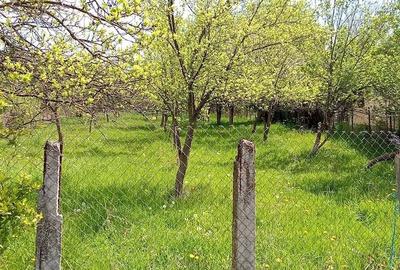 Teren de 1800 mp, în Valea Siliștii