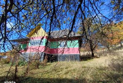 Casă cu 2 camere în Surdești