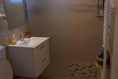 Apartament cu 2 camere decomandat în Dosu Bricii