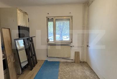Garsonieră în Brazda lui Novac