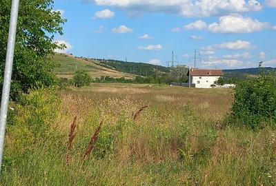Teren de 450 mp, în Șimian - 3