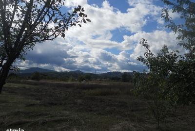 Casă cu 3 camere în Central