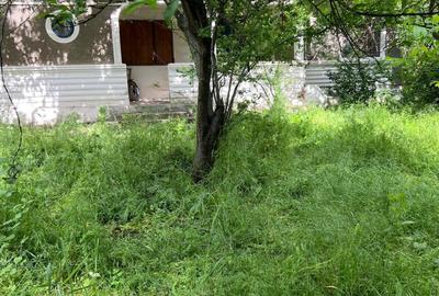 Casă individuală cu 4 camere cu Teren 2500 Mp în Șirna - 1