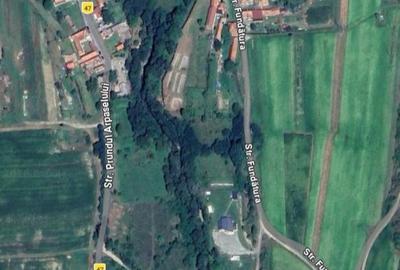 Teren de 1100 mp, în Arpașu de Sus