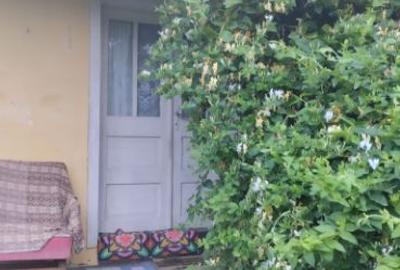 Casă cu 5 camere cu Teren 1000 Mp în Agăș - 1