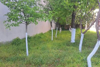 Casă individuală cu 5 camere cu Teren 1202 Mp în Romanești - 5