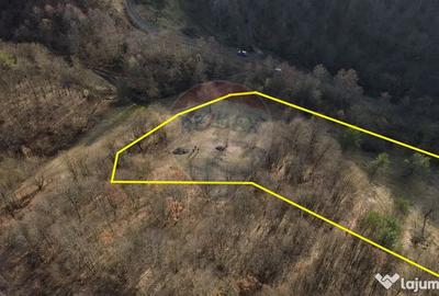 Teren de 5000 mp, în Coaș - 2