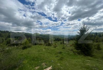 Teren de 804 mp, în Moroeni - 3