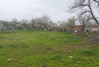 Teren de 745 mp, în Cerneteaz - 3