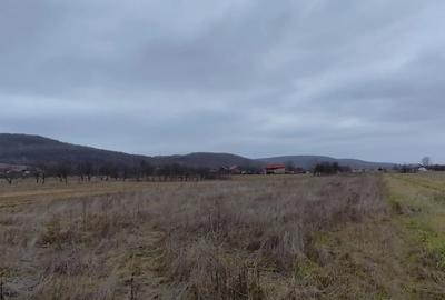 Teren de 2200 mp, în Budești
