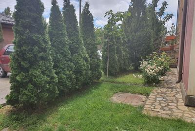 Apartament cu 3 camere decomandat, mobilat în Exterior Vest - 20