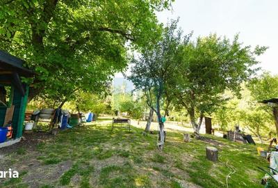 Casă cu 3 camere cu Teren 3245 Mp în Vultureni - 4