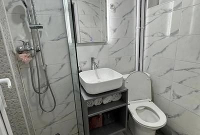 Apartament cu 2 camere semidecomandat în Valea Rosie - 3