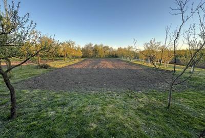 Casă cu 3 camere în Voivodeni - 5