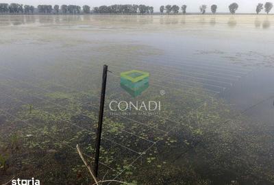 Teren de 2270000 mp, în Ciocănești - 11