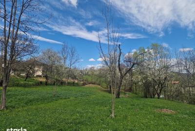 Teren de 12000 mp, în Ghioșești