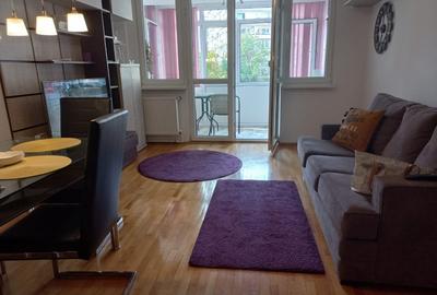 Apartament cu 2 camere decomandat în Sala Palatului - 6