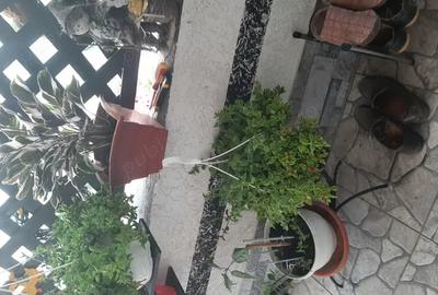 Casă cu 5 camere în Sânnicolau Mare - 6