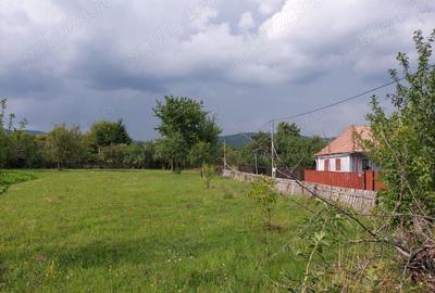 Teren de 2900 mp, în Estelnic - 2