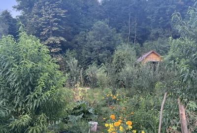 Casă cu 3 camere în Bălilești