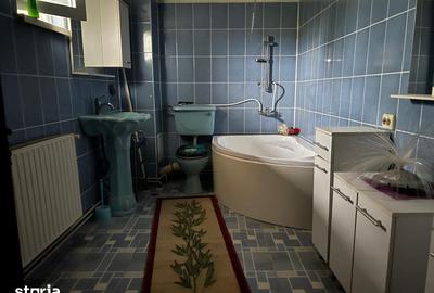 Casă cu 2 camere cu Teren 4368 Mp în Certeju de Sus - 7