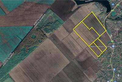 Teren agricol intravilan de 330000 mp, în Lilieci - 1