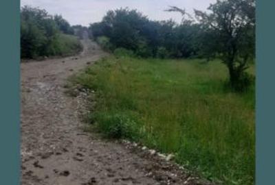 Teren extravilan de 15000 mp, în Filipeștii de Pădure - 3