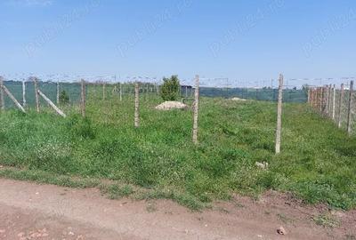 Teren de 420 mp, în Agigea - 1