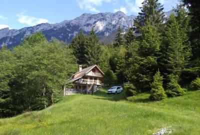Casă individuală cu 5 camere cu Teren 3884 Mp în Plaiul Foii - 3