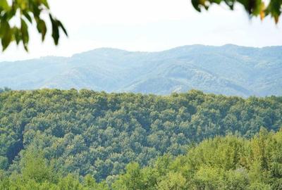 Teren de 105000 mp, în Telciu
