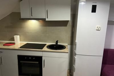 Apartament cu 3 camere decomandat, mobilat în Centru Civic - 6
