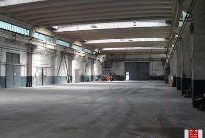 Spațiu industrial, de 7,000 mp, în Sânnicolau Mic - 15