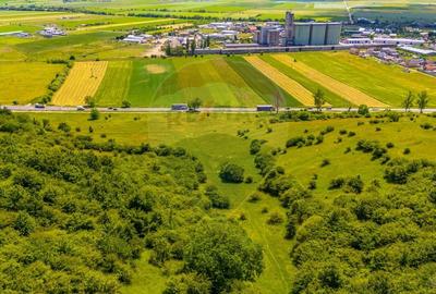 Teren agricol extravilan de 24911 mp, în Nord - 6