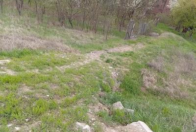 Teren de 950 mp, în Central - 13
