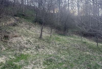 Teren de 2800 mp, în Văleni-Dâmbovița - 2