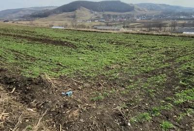Teren de 2000 mp, în Huși