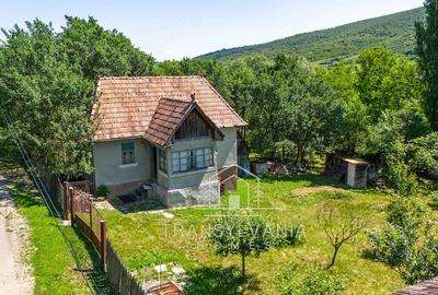 Casă cu Teren 1368 Mp în Livada (Petreștii de Jos)