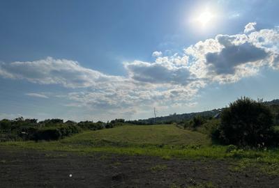 Teren Construcții de 8000 mp, în Daia Nouă - 4