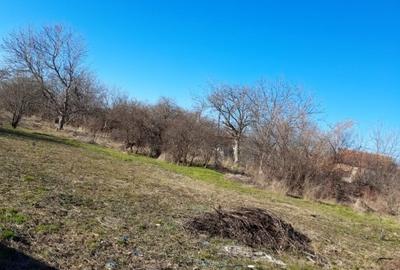 Teren Construcții intravilan de 937 mp, în Ronaț - 1