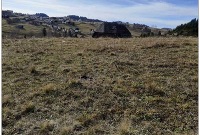 Teren Construcții intravilan de 7000 mp, în Fundata - 3