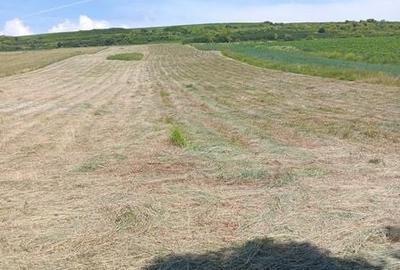 Teren de 8000 mp, în Aiton - 2
