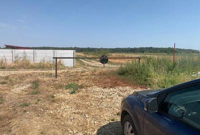 Teren de 330 mp, în Săbăreni - 4