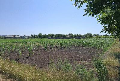 Teren de 1500 mp, în Padina - 4